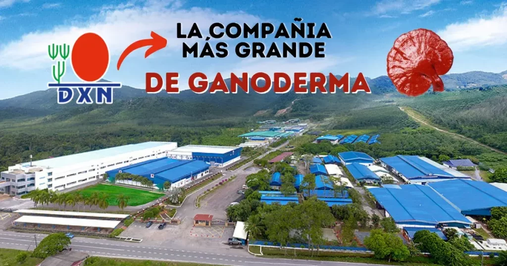dxn compania de ganoderma malasia