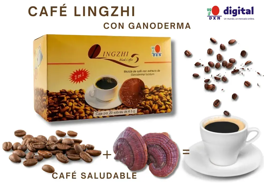 Café Negro Lingzhi DXN con Ganoderma