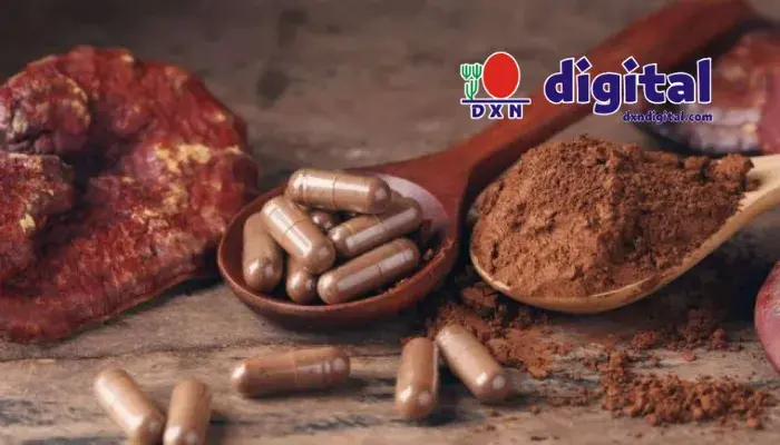 ganoderma-dxn ganoderma 3