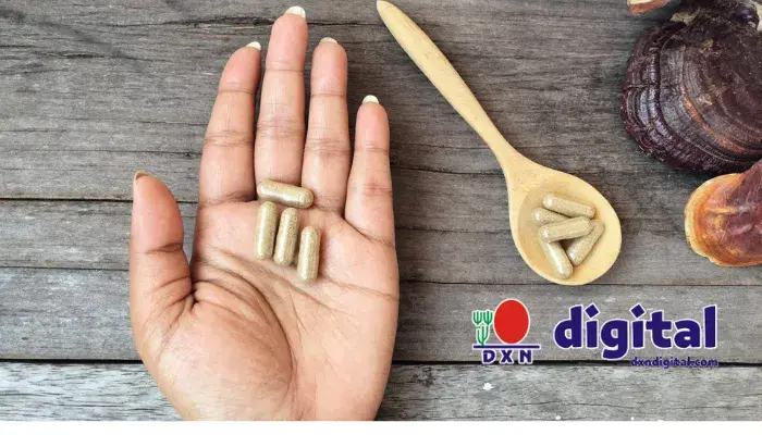 ¿Qué es el Ganoderma? Descubre sus Beneficios y Por Qué Elegir DXN 4 ganoderma 6
