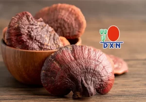 ¿Qué es el Ganoderma? Descubre sus Beneficios y Por Qué Elegir DXN