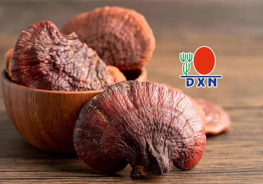 que es el ganoderma