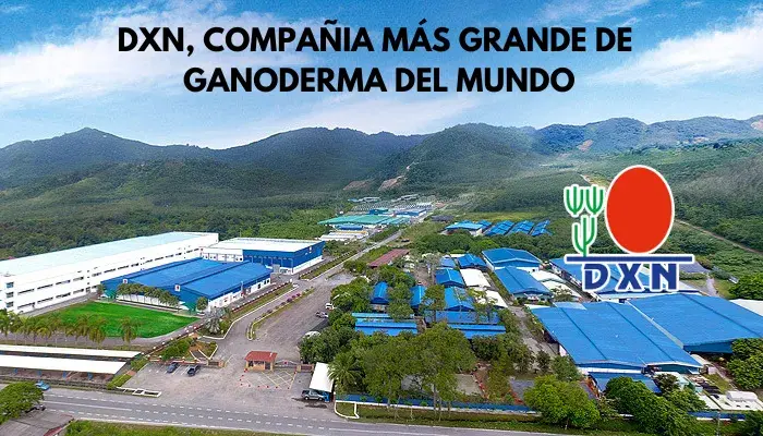 DXN VS GANO EXCEL