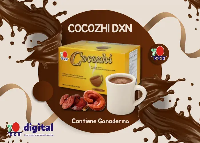 cocozhi dxn chocolate con ganoderma