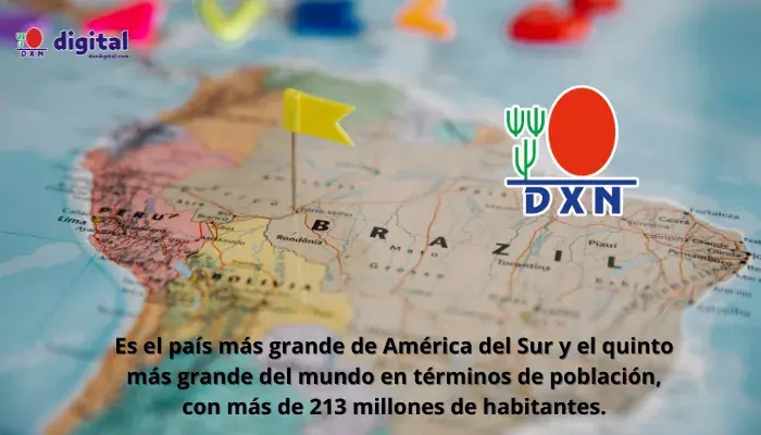 dxn-brasil-oportunidad-negocio dxn-brasil-español-oportunidad-negocio