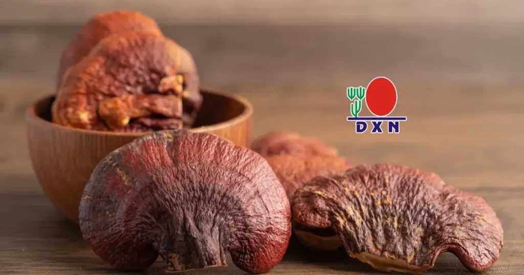 DXN digital compania ganoderma