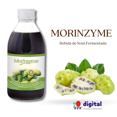 Morinzhy DXN